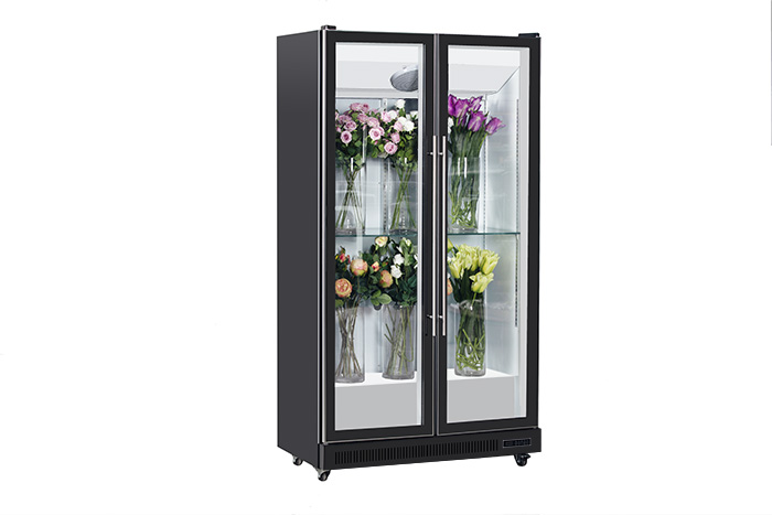 20LH 鮮花柜